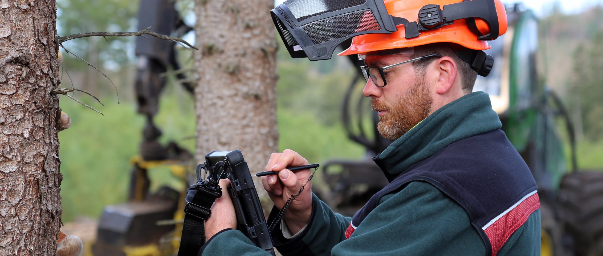 Ein Forstarbeiter erfasst Schädlinge, welche die sichere Fällung der Bäume gefährten könnten, mittels eines Outdoor-Tablets. Im Hintergund ein Harvester.