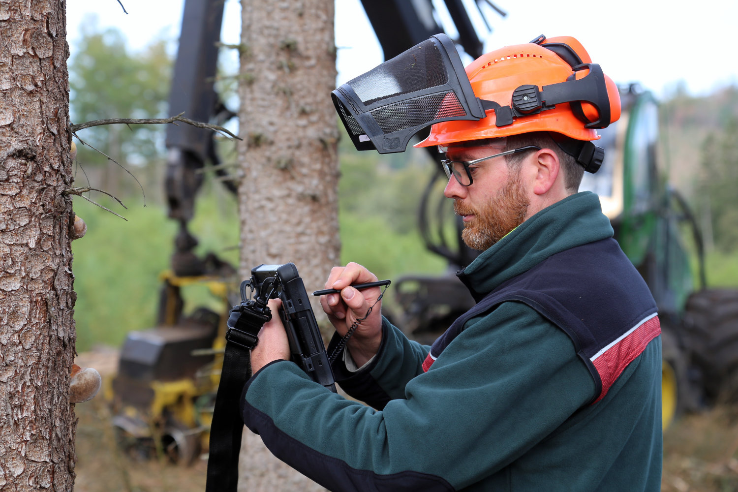 Ein Forstarbeiter erfasst Schädlinge, welche die sichere Fällung der Bäume gefährten könnten, mittels eines Outdoor-Tablets. Im Hintergund ein Harvester.