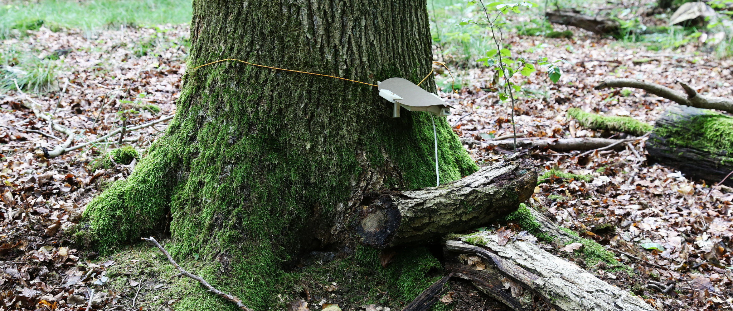 Sensor zur Erfassung der Bodenfeuchte